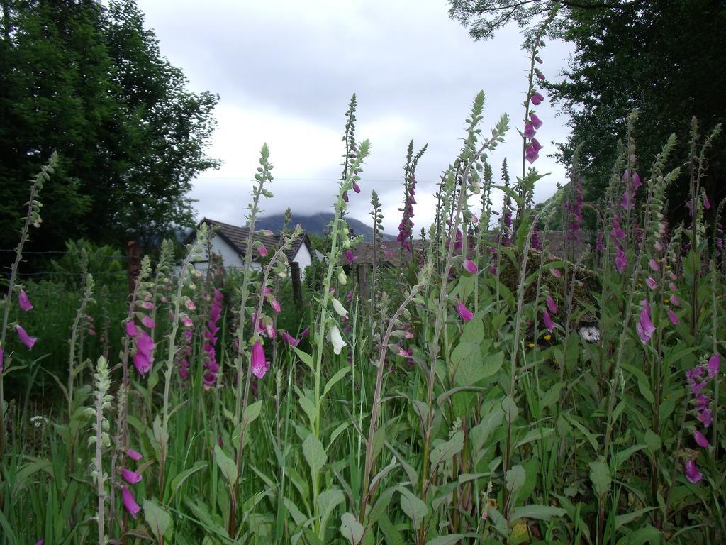 Beechwood Cottage B&B Glencoe Exterior photo