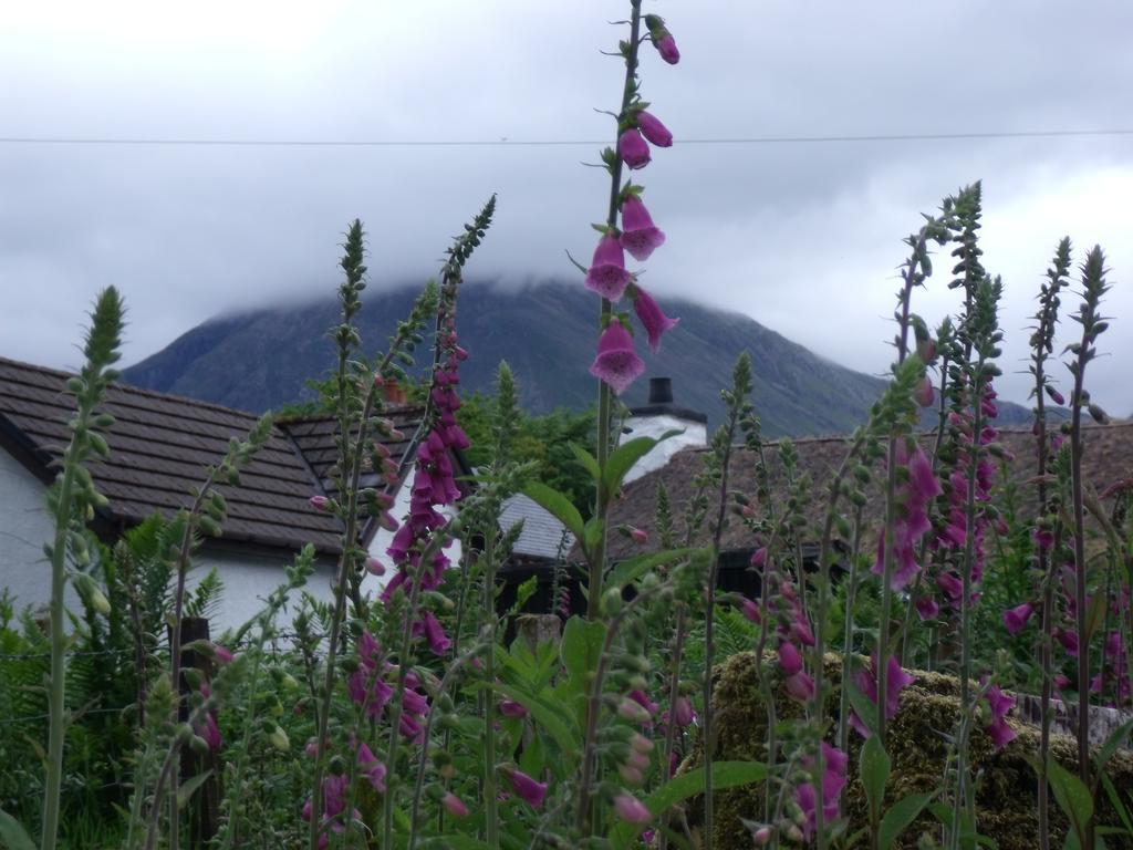 Beechwood Cottage B&B Glencoe Exterior photo